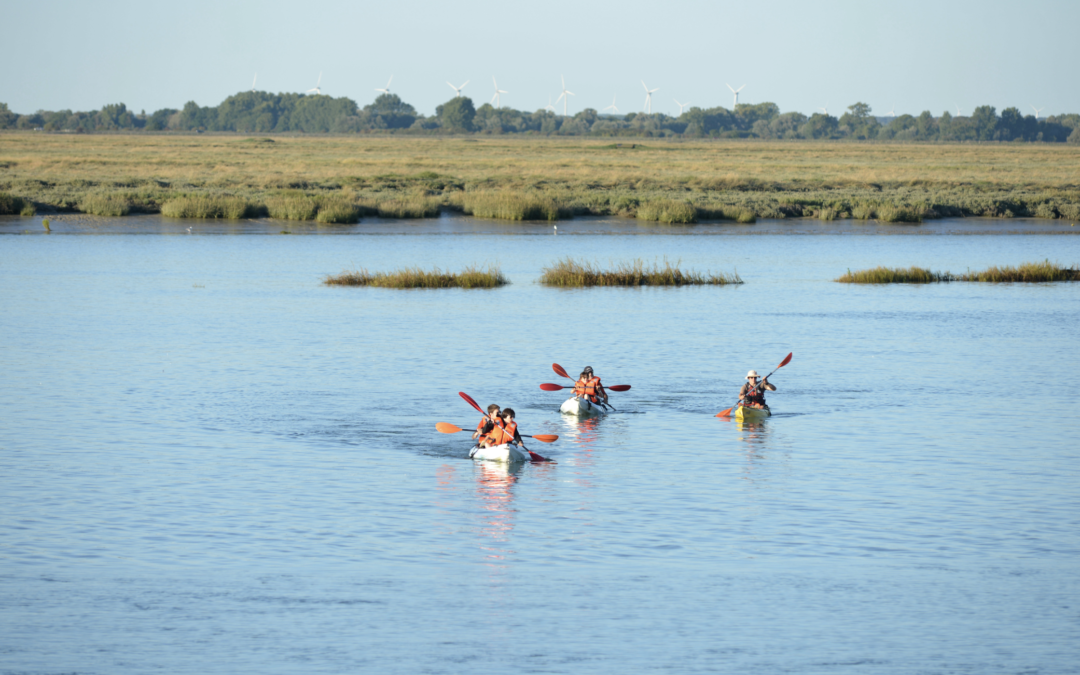 Combien de jours pour visiter la Baie de Somme ? Notre guide complet