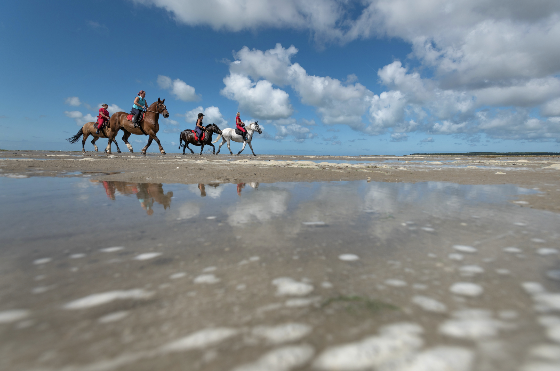 randonnee equestre sur les plages de la baie de somme