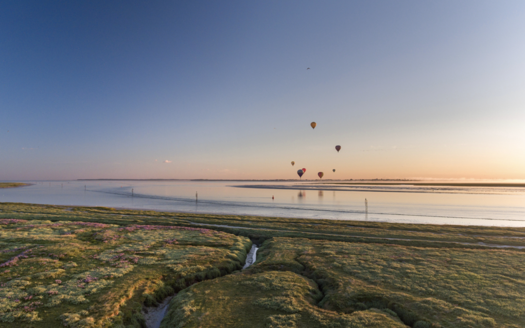 Que faire en Baie de Somme : 13 idées d’activités pour un séjour inoubliable