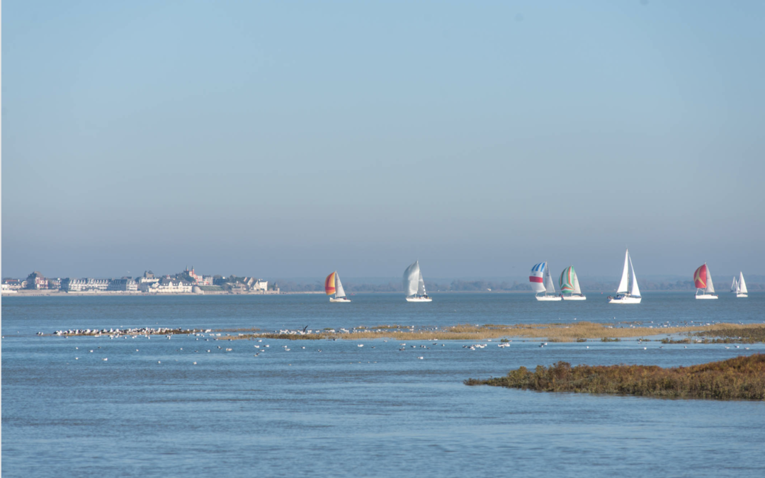 Week-end en Baie de Somme : le guide pour organiser votre escapade