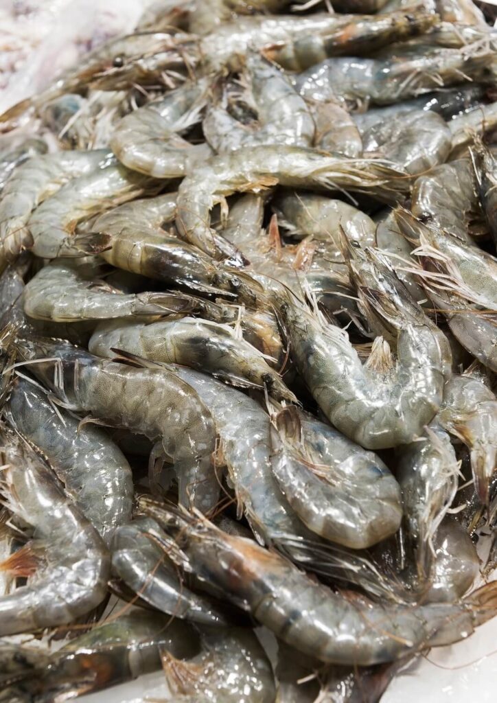 vous pouvez trouver des crevettes grises toutes fraiches en faisant le marché en baie de somme